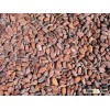 cocoa