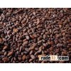 roasted cocoa beans seeds