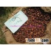 COCOA BEANS/ SUN DRIED