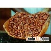 dried and rosted cocoa seeds