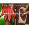 Cacao en grano - Polvo y en Pasta