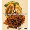 COCOA BEANS