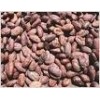 Cocoa Beans