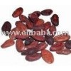 Cocoa Beans