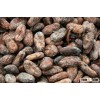 venta de cacao seco por kilos