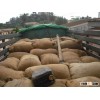 cocoa beans