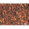 cocoa beans