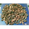Cocoa Beans (FAQ)