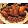 Cocoa Beans