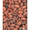 cacao