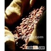Vietnamese Cocoa Bean