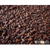 cocoa bean