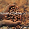 Cocoa