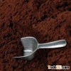 Cacao Powder
