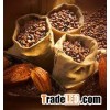 Cocoa bean