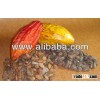 COCOA BEANS