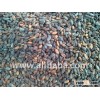 cacao Cote D'Ivoire