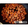 Dry and fermented cocoa beans from Ecuador