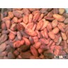 Cocoa Beans