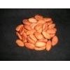 Dried Cocoa Beans