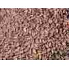 Cocoa beans