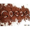 Cocoa