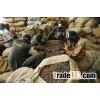 Dry Cocoa Fruit and fresh cacoa pod