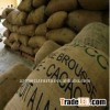 Best Quality Roasted Cocoa Beans for Sale