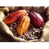 COCOA BEANS