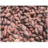 Cocoa Beans