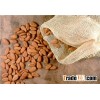 Cocoa Beans
