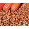 Cocoa Beans & Powder