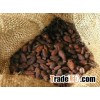 Cocoa Beans