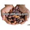 Cocoa beans
