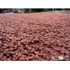 Organic Cocoa Beans