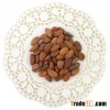 Cocoa Beans
