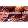 Cacao bean