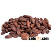 Cocoa Beans