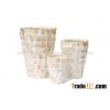 Seashell Planters pots