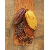 Cocoa Beans