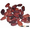 Cocoa Beans / Cafe Raw