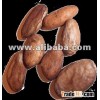 Cocoa Beans