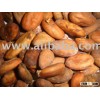COCOA BEANS