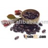 Cocoa Beans