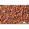 COCOA BEAN