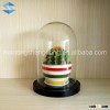 flower retail shop display designs glass supermarket