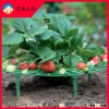 Outdoor Garden Useful Removable Plastic Strawberry Planter Holder