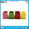 Nice colored wholesale garden bonsai Plant Pot