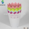 colour plastic flower pots