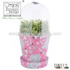 Home Garden plastic flower Pot or garden Planter with plastic cover